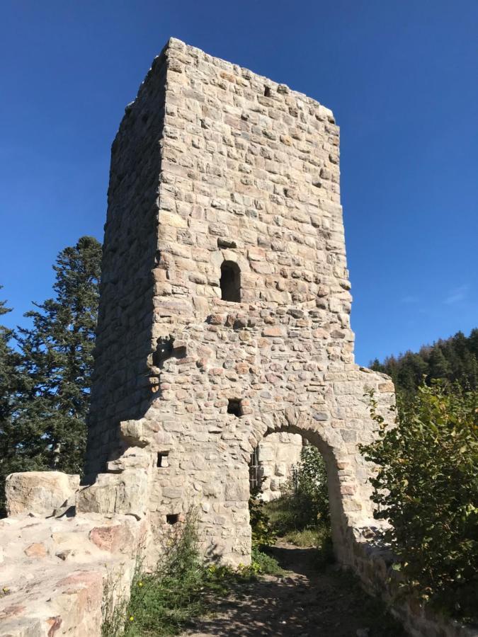 Landgasthof Alpenblick An Der Wutachschlucht Suedschwarzwald Löffingen Buitenkant foto