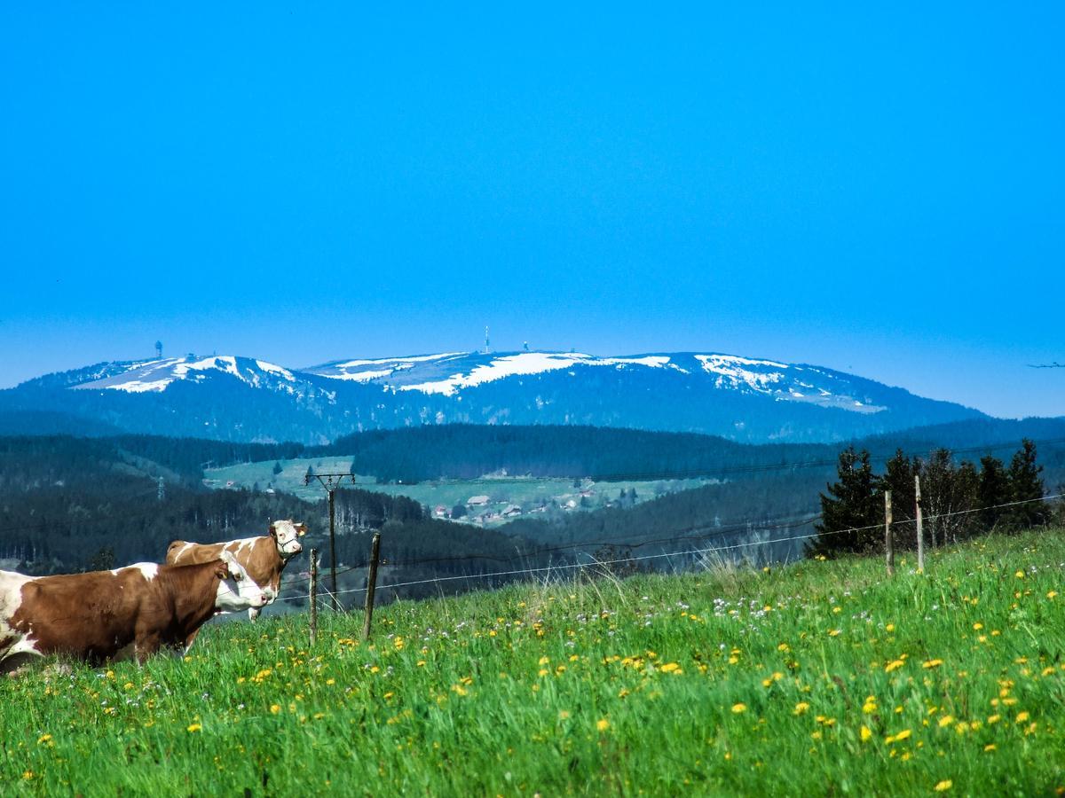 Landgasthof Alpenblick An Der Wutachschlucht Suedschwarzwald Löffingen Buitenkant foto